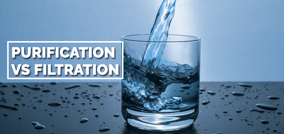 Purification Vs Filtration